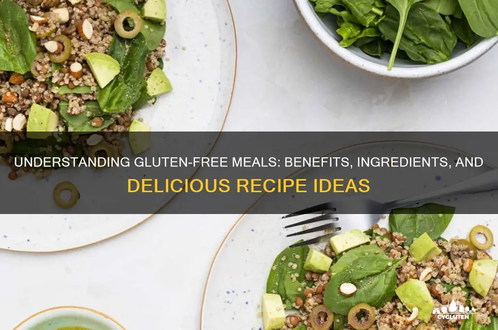what is gluten free meal