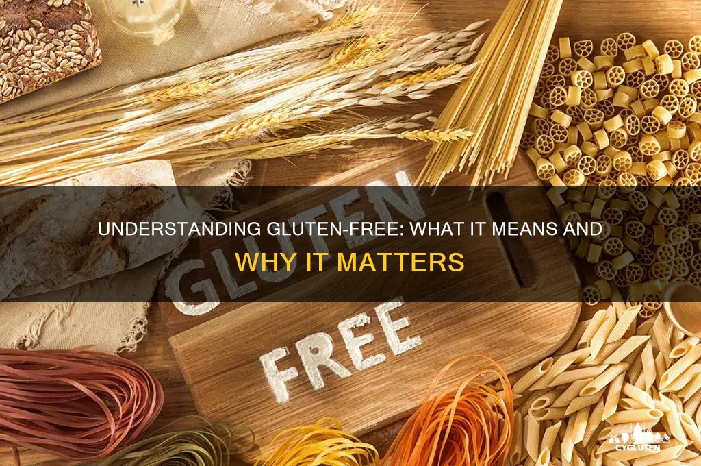 what is gluten free meaning