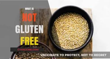 Unveiling Hidden Gluten: Foods and Ingredients to Avoid for a Gluten-Free Diet