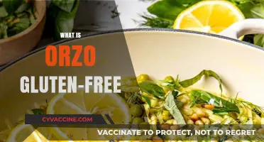 Is Orzo Gluten-Free? A Guide to This Tiny Pasta Alternative