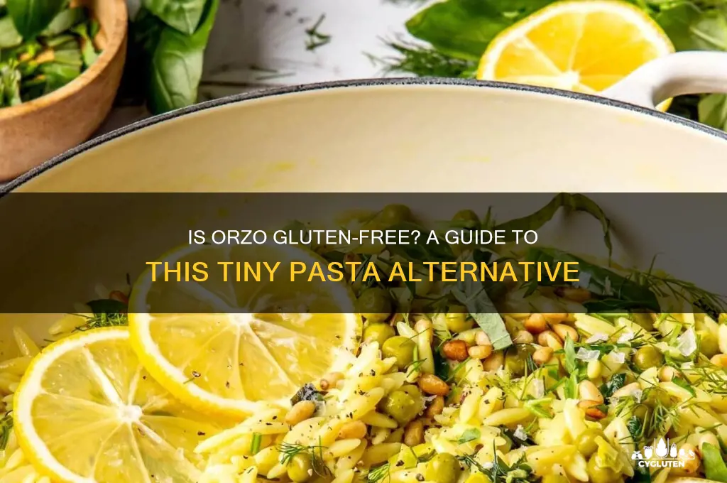Is Orzo Gluten-Free? A Guide To This Tiny Pasta Alternative | CyGluten