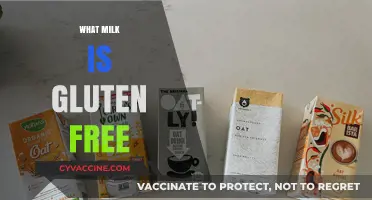 Gluten-Free Milk Options: A Comprehensive Guide to Safe Choices