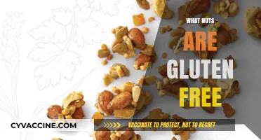 Gluten-Free Nuts Guide: Safe and Delicious Options for Your Diet