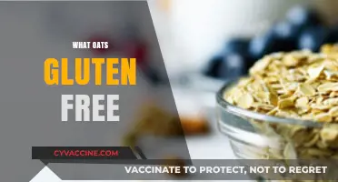 Are Oats Gluten-Free? Understanding Oatmeal and Celiac Safety