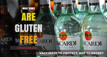 Gluten-Free Rum Guide: Safe Choices for Celiac and Sensitive Drinkers