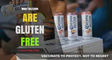 Gluten-Free Seltzer Guide: Top Brands and Safe Choices to Enjoy