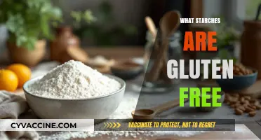 Discover Gluten-Free Starches: Safe and Delicious Options for Your Diet