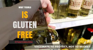 Gluten-Free Tequila Guide: Safe Brands for Celiac and Sensitive Drinkers