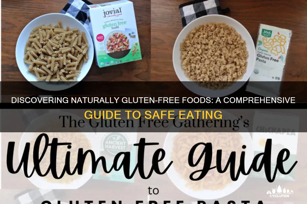 what things are gluten free