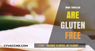 Gluten-Free Tortilla Guide: Safe Options for Celiac and Sensitive Diets