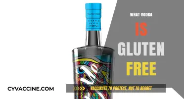 Gluten-Free Vodka Guide: Top Brands for Celiac-Safe Spirits