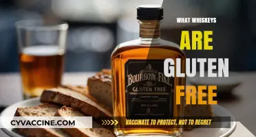 Gluten-Free Whiskey Guide: Safe Sips for Celiac and Sensitive Drinkers