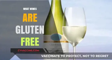 Gluten-Free Wines: A Guide to Safe and Delicious Choices