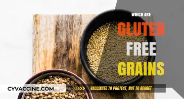 Discovering Naturally Gluten-Free Grains for a Healthy Diet