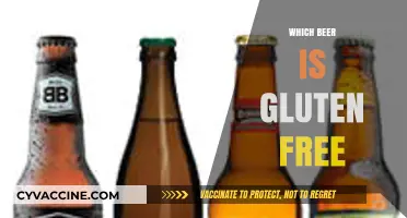 Discover the Best Gluten-Free Beer Options for Your Next Cheers