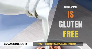 Discover the Best Gluten-Free Cereal Options for a Healthy Breakfast