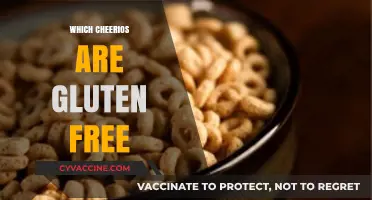Gluten-Free Cheerios Guide: Safe Options for Celiac and Sensitive Diets