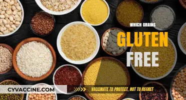 Discovering Naturally Gluten-Free Grains for a Healthy Diet
