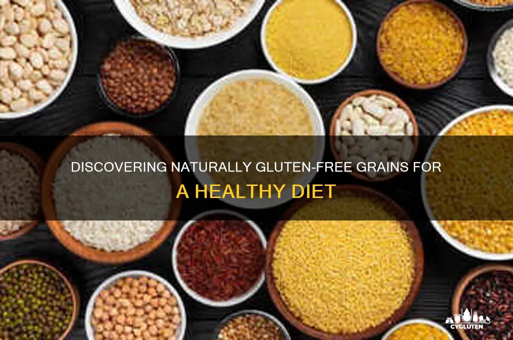 which grains gluten free