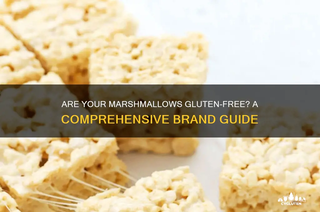 Are Your Marshmallows Gluten-Free? A Comprehensive Brand Guide | CyGluten
