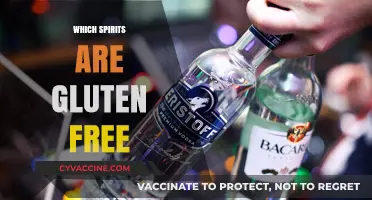 Gluten-Free Spirits Guide: Safe Options for Celiac and Sensitive Drinkers