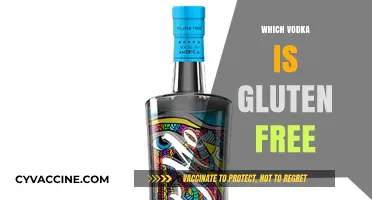 Gluten-Free Vodka Guide: Top Brands for Celiac-Safe Spirits