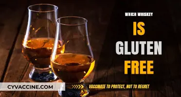 Gluten-Free Whiskey Guide: Safe Options for Celiac and Sensitive Drinkers