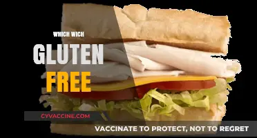 Which Wich Gluten-Free Options: A Tasty, Safe Menu Guide