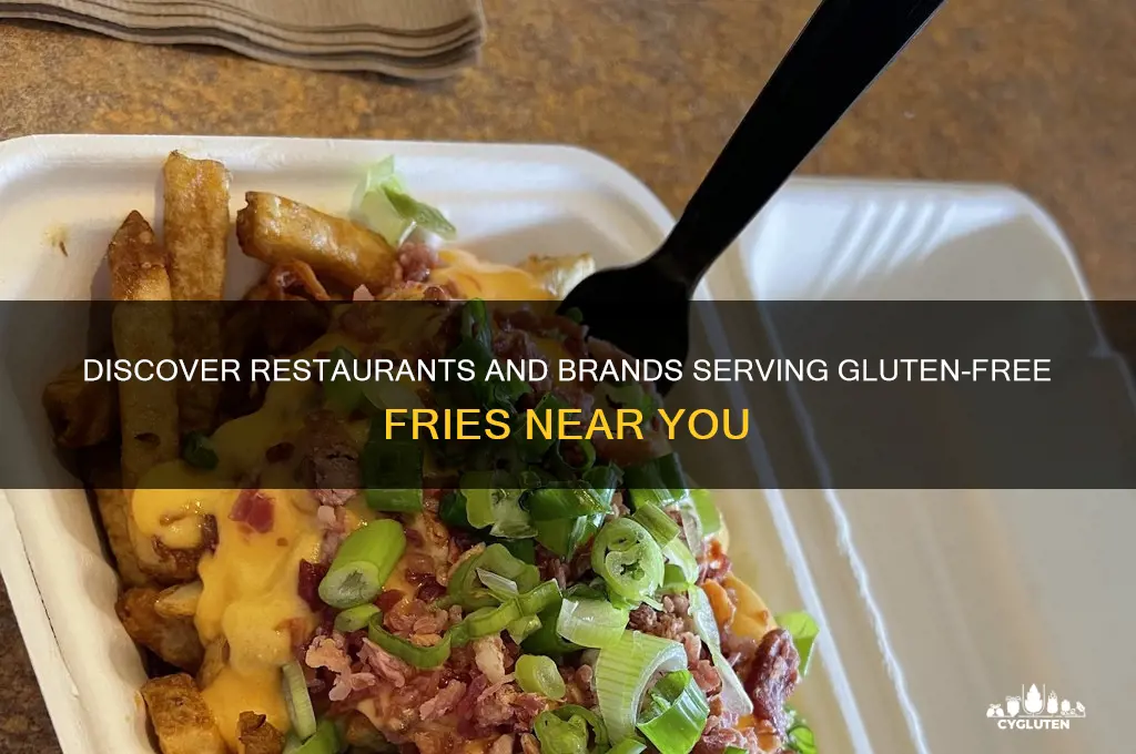 who has gluten free fries
