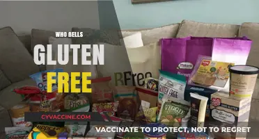 Who Sells Gluten-Free Products? A Comprehensive Guide for Shoppers