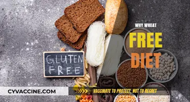 Why Go Wheat-Free? Discover the Health Benefits and Reasons