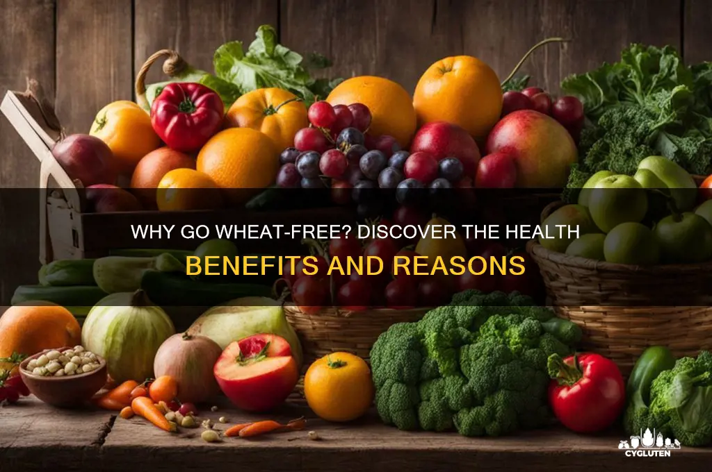 why wheat free diet