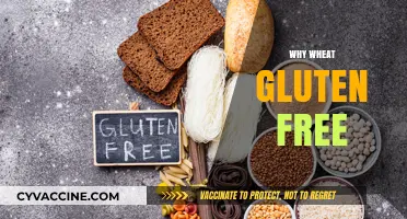 Understanding Wheat Gluten-Free Diets: Benefits, Myths, and Healthy Alternatives
