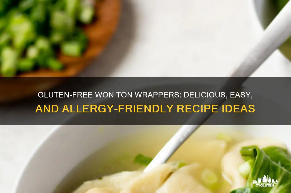 won ton wrappers gluten free